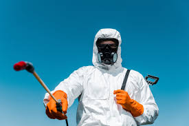 Professional Pest Control in South Daytona, FL